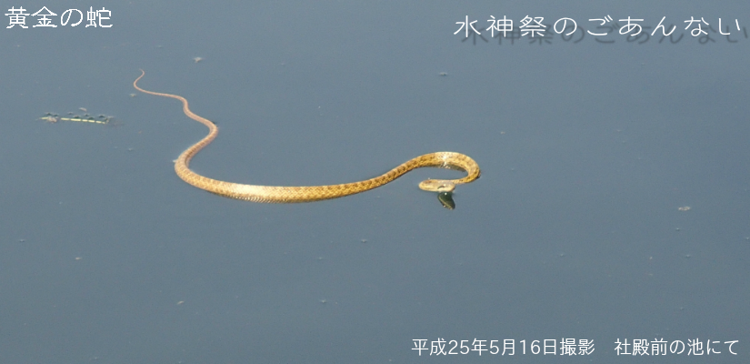 朝焼けの浮島神社