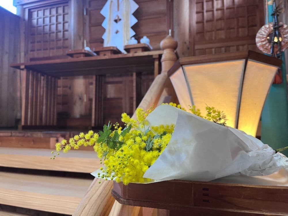 社殿にお供えされたミモザ